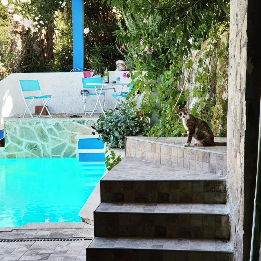 Apartment Bradex Dreams Bečići Kültér fotó