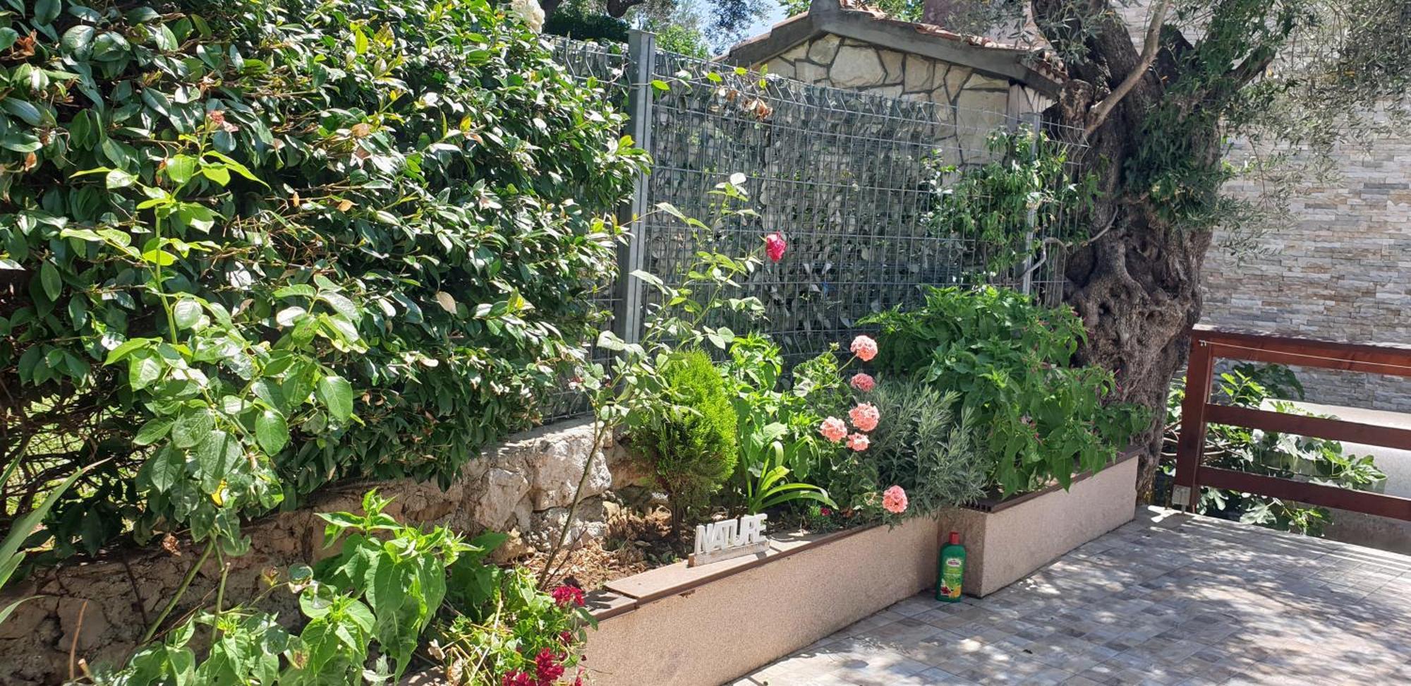 Apartment Bradex Dreams Bečići Szoba fotó